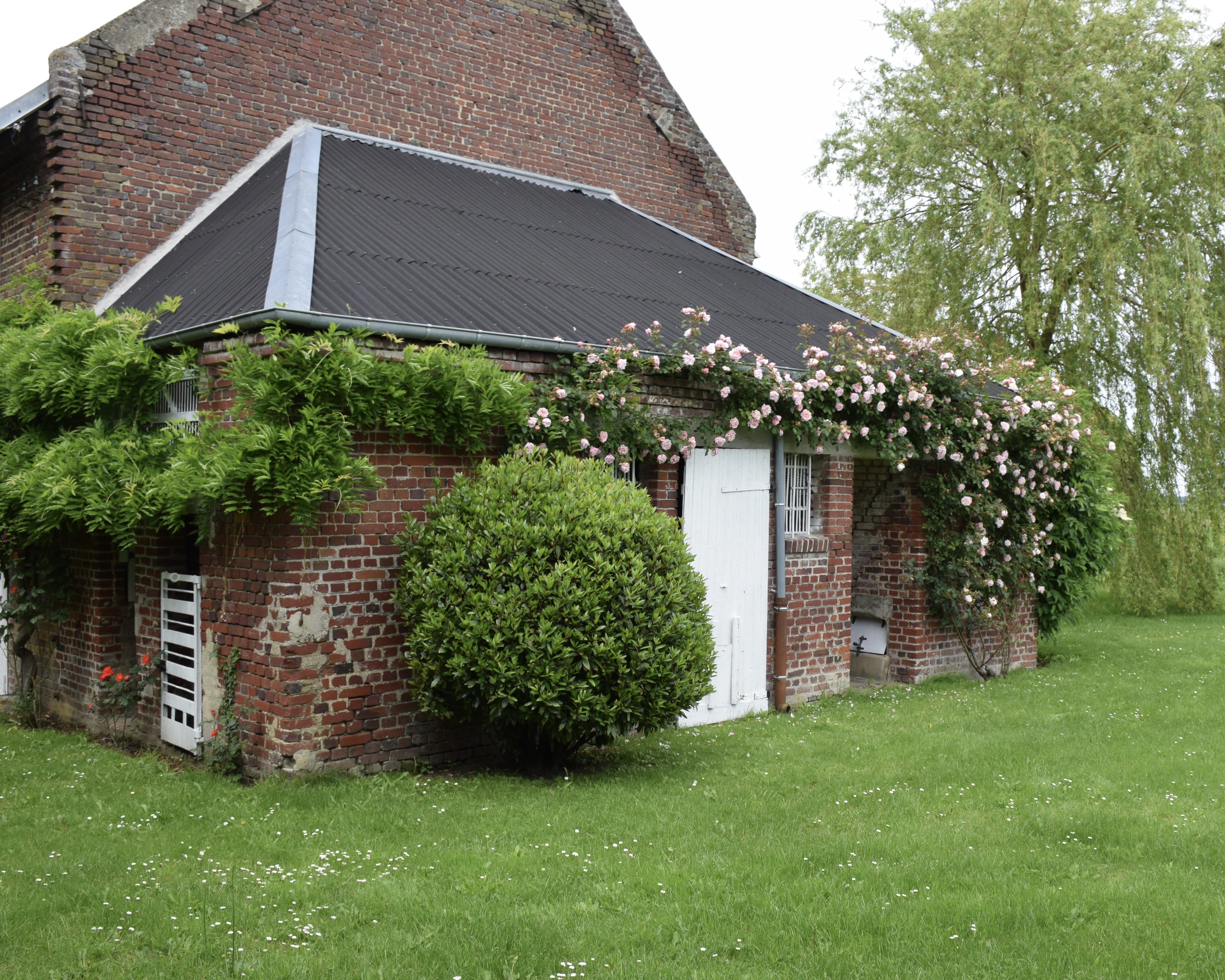 Chalet en bois